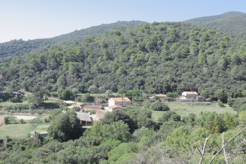 Can Perera en el centro y Can Mongol a la derecha, desde la pista que baja de Sant Elies hacia Sant Pere de Vilamajor
